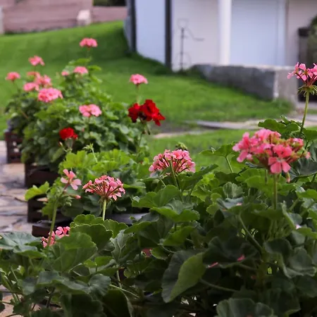 Zlatne Perle * Vrdnik