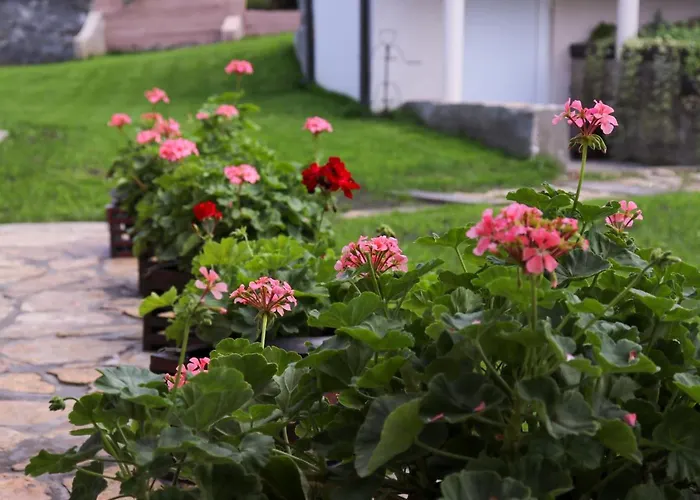 Zlatne Perle * 브르드니크